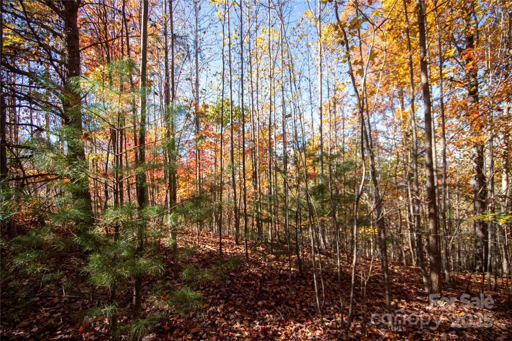 Lot# 4 Peregrine Terrace #4 Lenoir, NC 28645