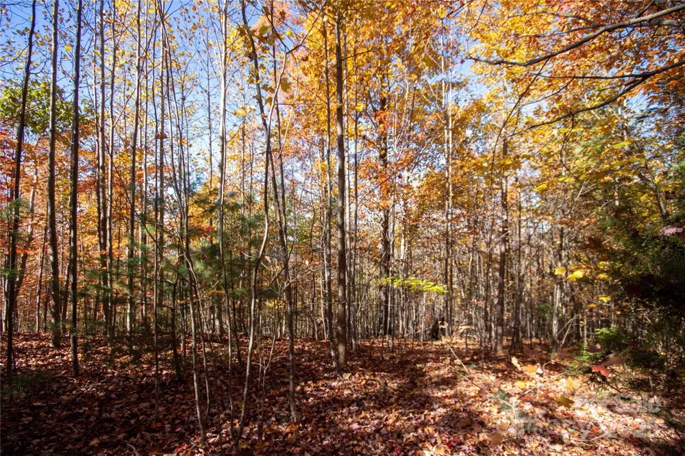 Lot# 4 Peregrine Terrace #4 Lenoir, NC 28645
