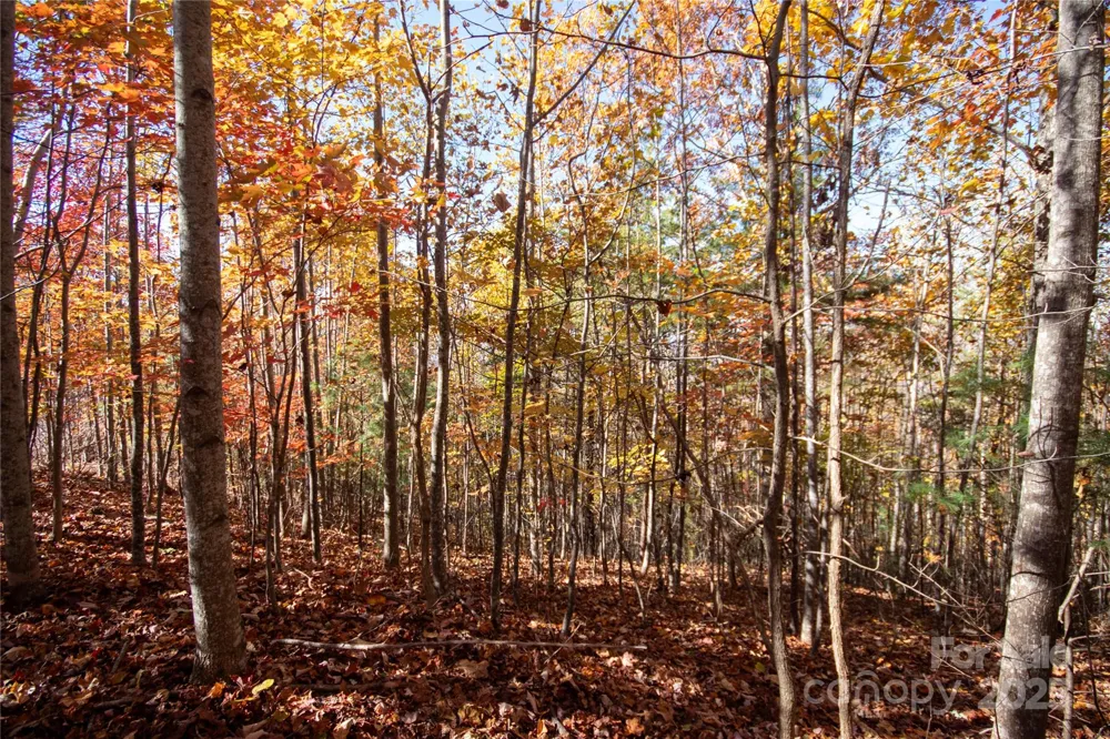 Lot# 4 Peregrine Terrace #4 Lenoir, NC 28645