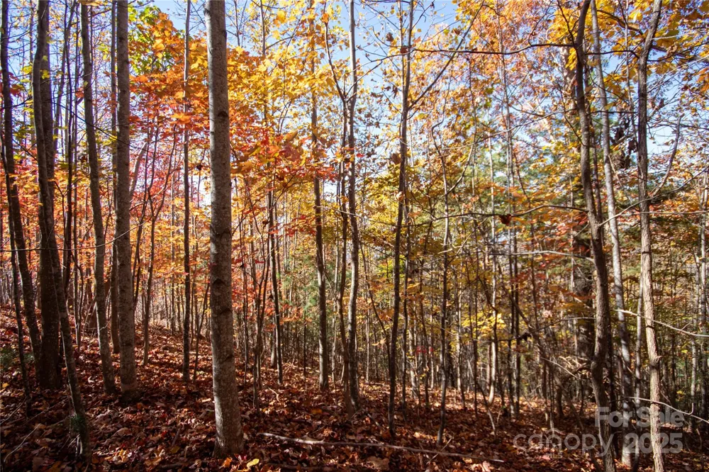 Lot# 4 Peregrine Terrace #4 Lenoir, NC 28645