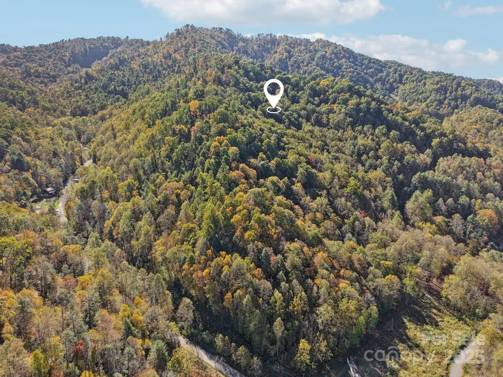 TBD Timberside Drive Mars Hill, NC 28754