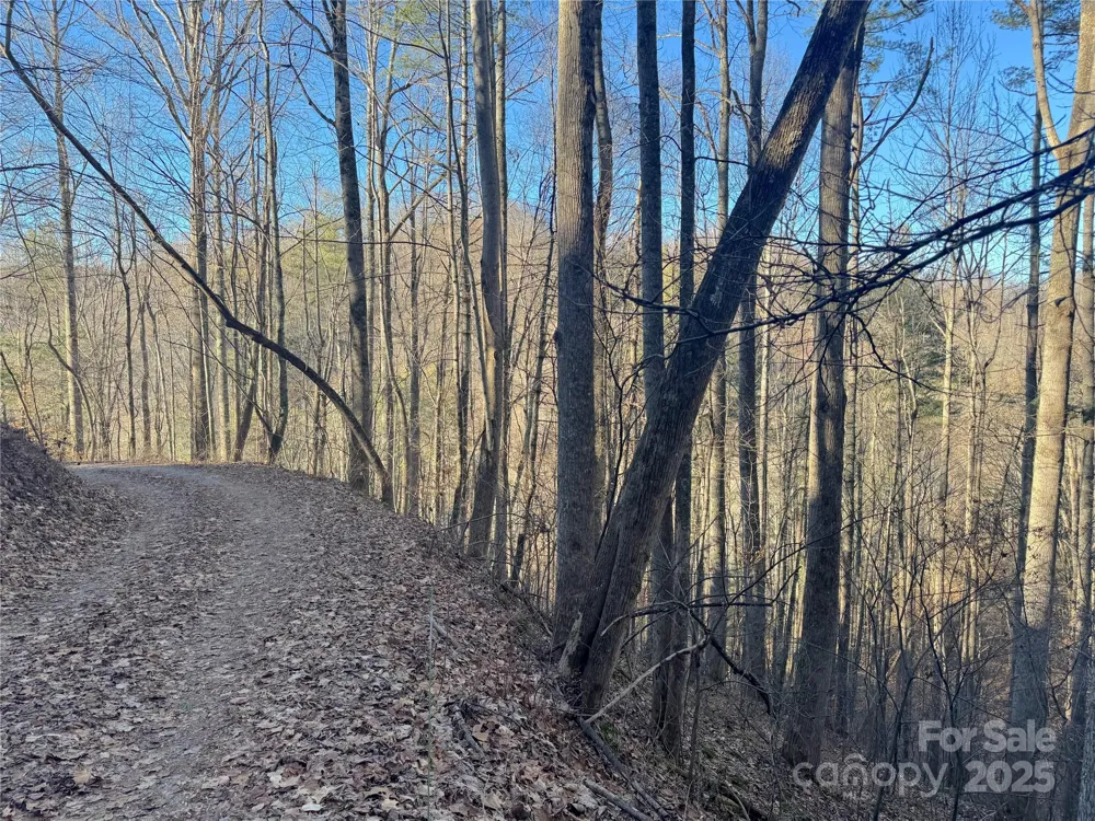 TBD Timberside Drive Mars Hill, NC 28754
