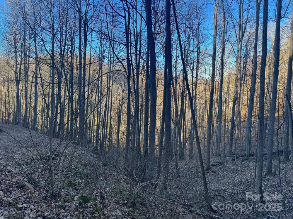 TBD Timberside Drive Mars Hill, NC 28754