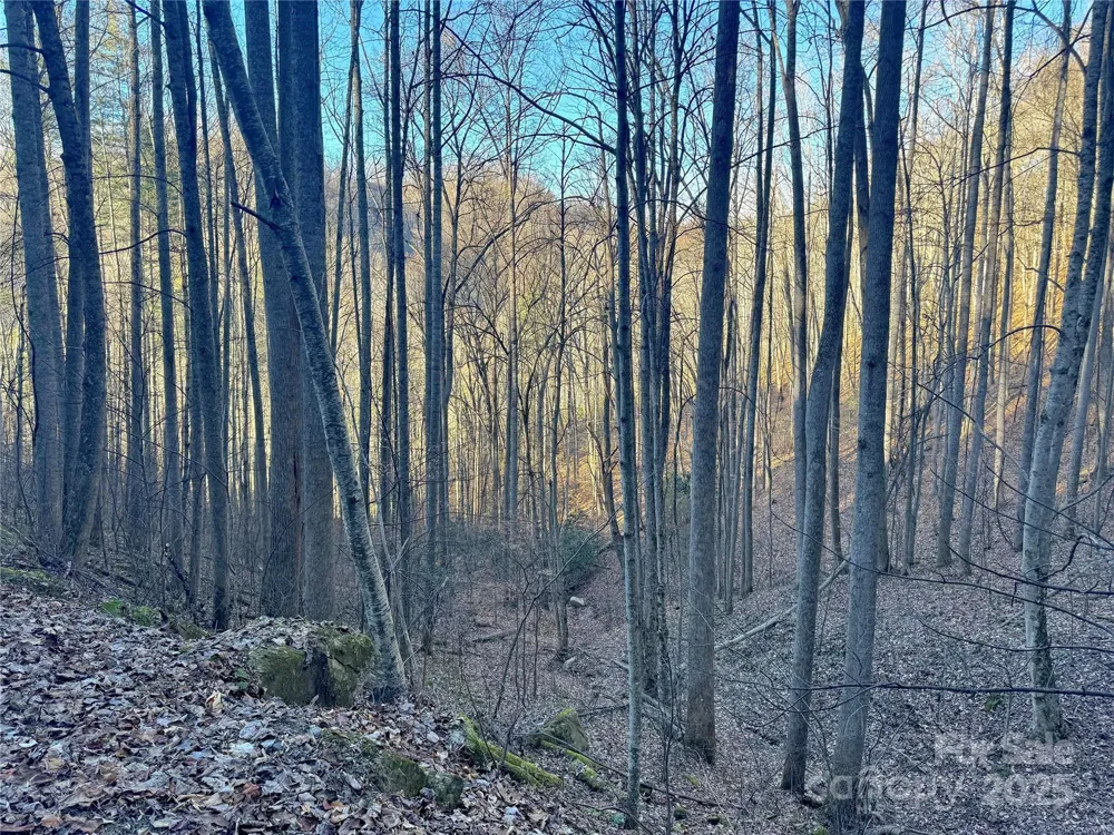 TBD Timberside Drive Mars Hill, NC 28754