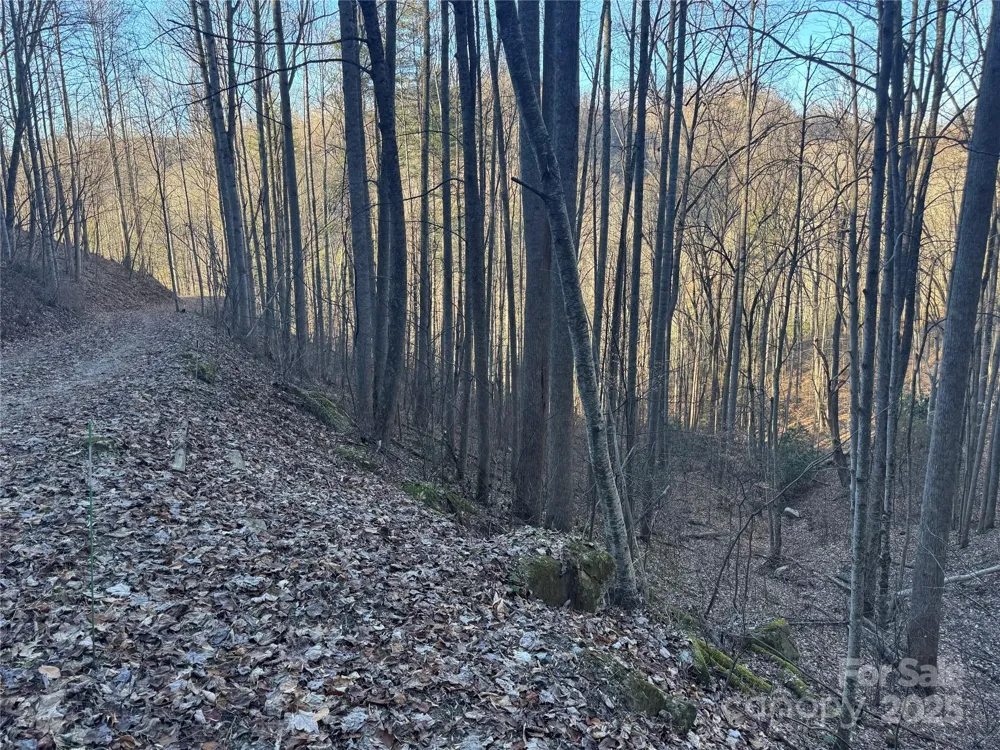 TBD Timberside Drive Mars Hill, NC 28754