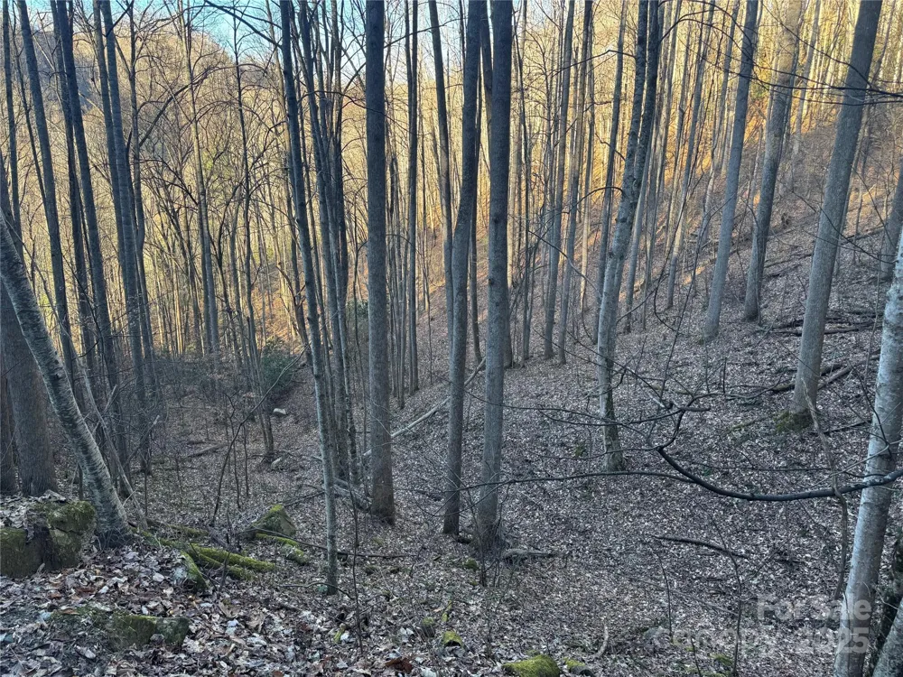 TBD Timberside Drive Mars Hill, NC 28754