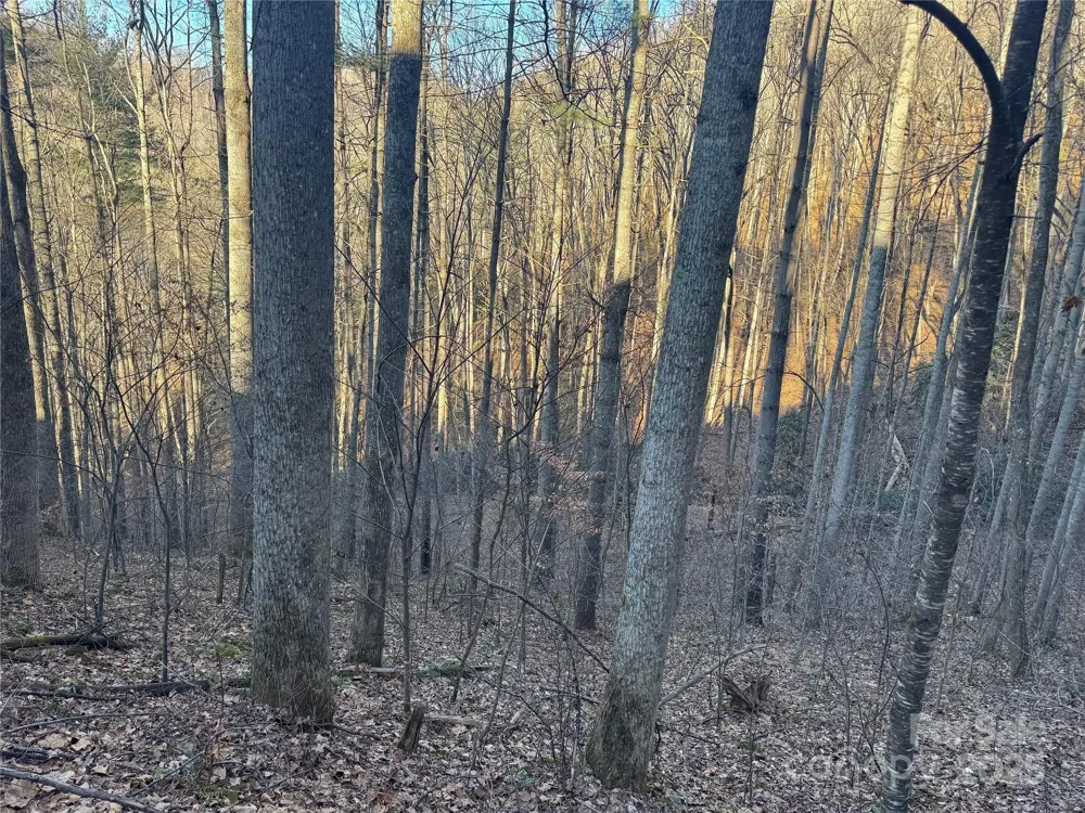 TBD Timberside Drive Mars Hill, NC 28754