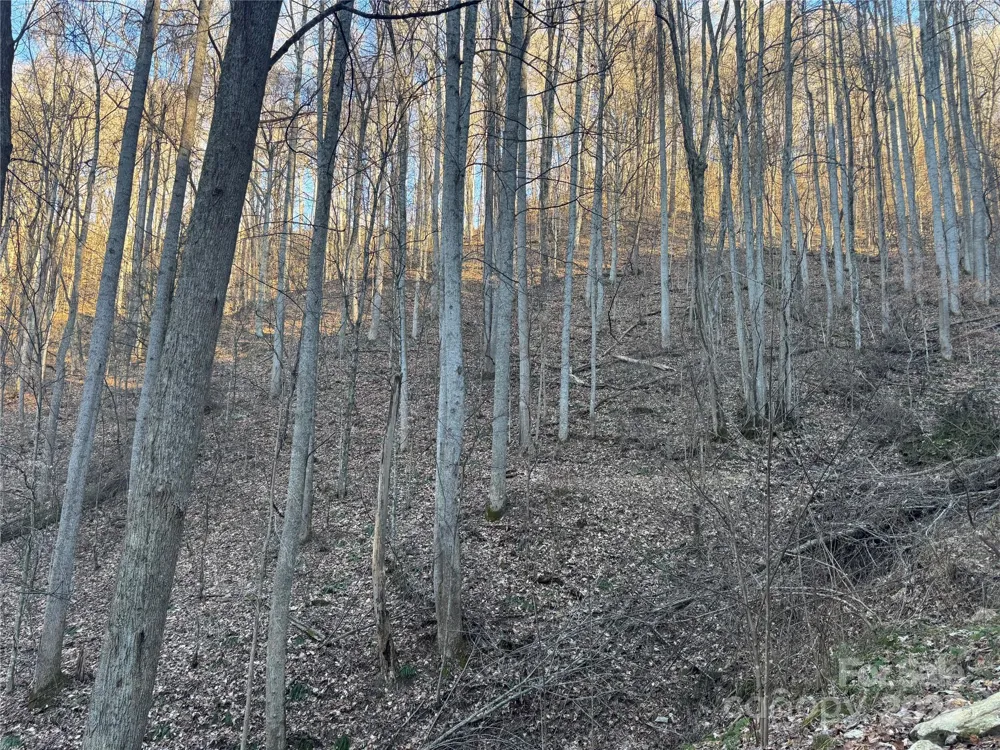 TBD Timberside Drive Mars Hill, NC 28754