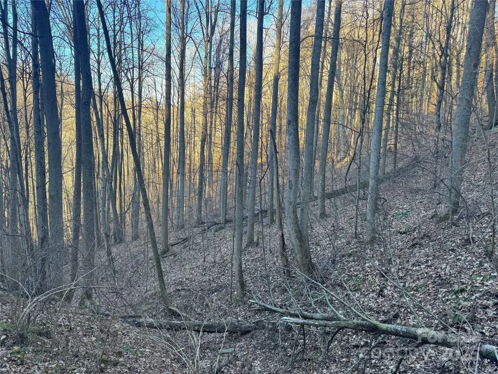 TBD Timberside Drive Mars Hill, NC 28754