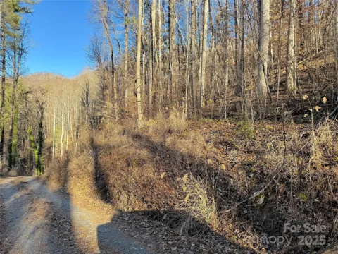 TBD Timberside Drive