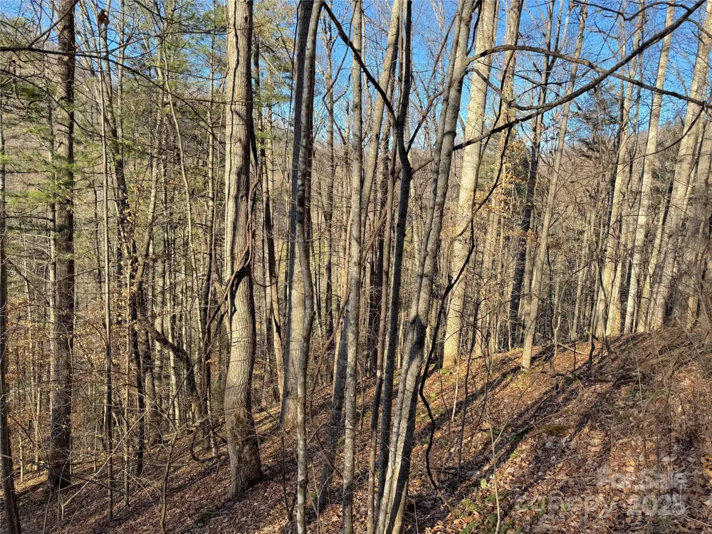 TBD Timberside Drive Mars Hill, NC 28754