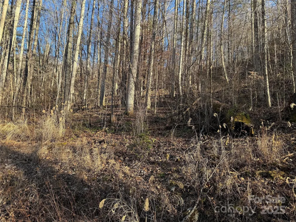 TBD Timberside Drive Mars Hill, NC 28754