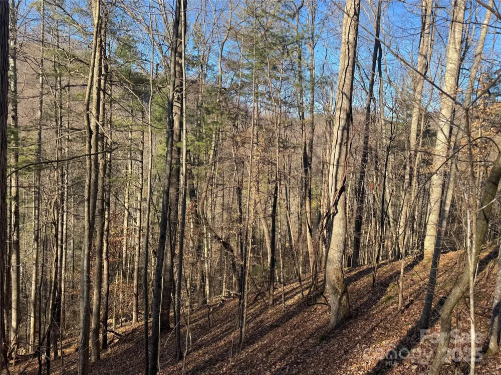 TBD Timberside Drive Mars Hill, NC 28754