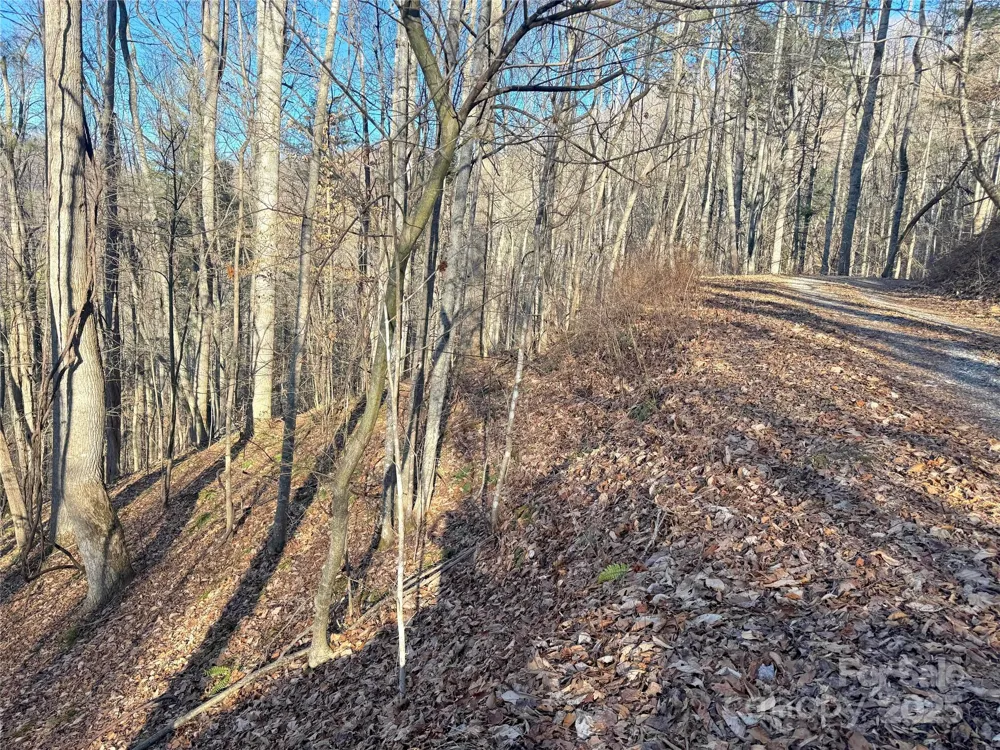 TBD Timberside Drive Mars Hill, NC 28754