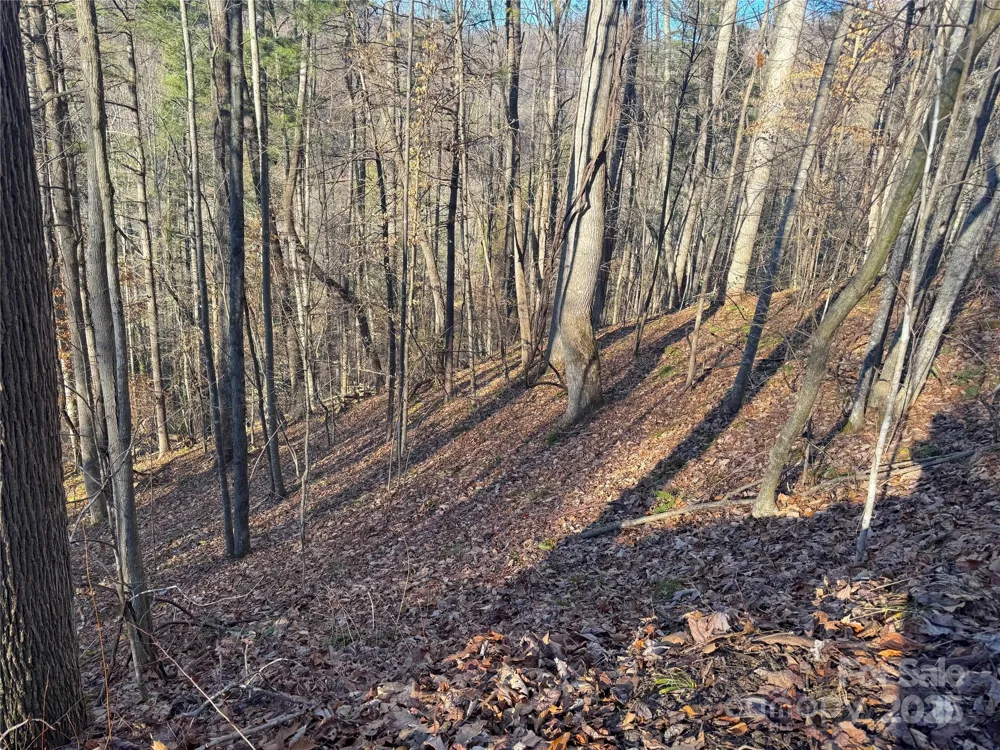 TBD Timberside Drive Mars Hill, NC 28754