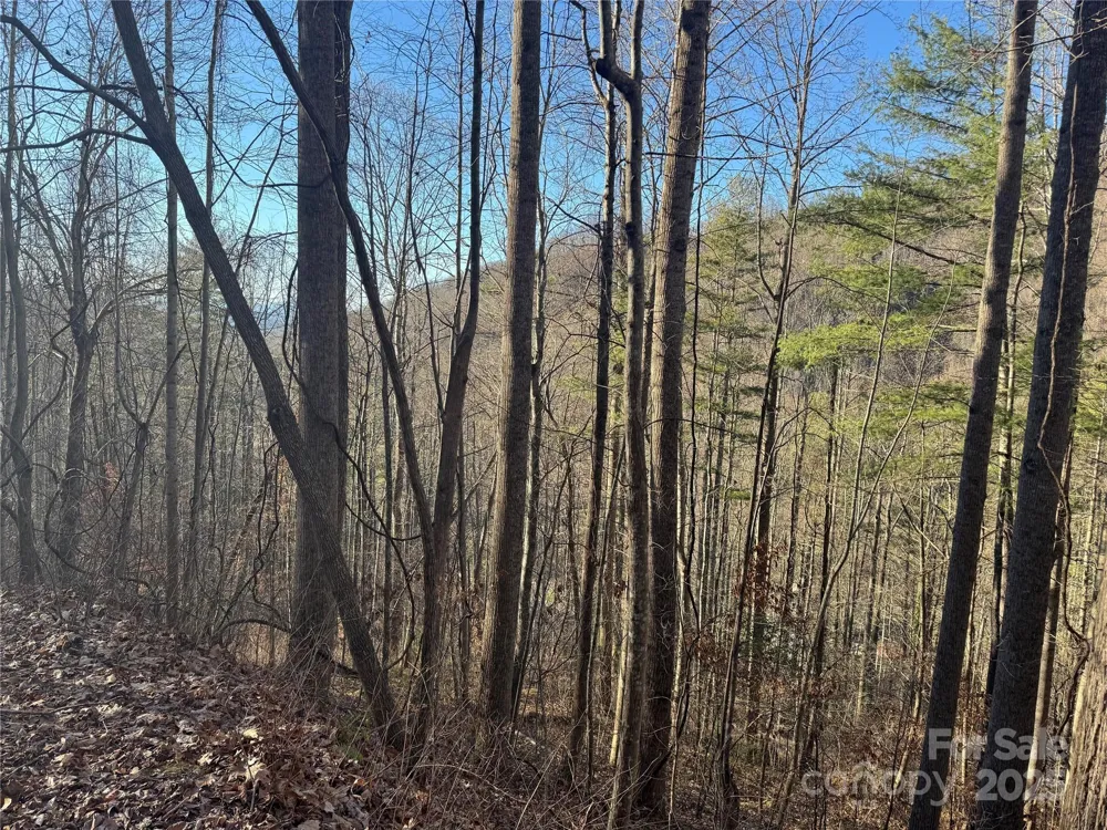 TBD Timberside Drive Mars Hill, NC 28754