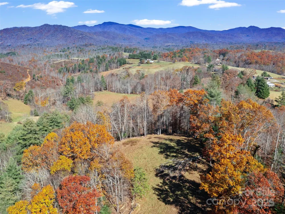 321 Lyle Lane Green Mountain, NC 28740