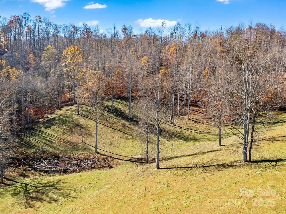 321 Lyle Lane Green Mountain, NC 28740