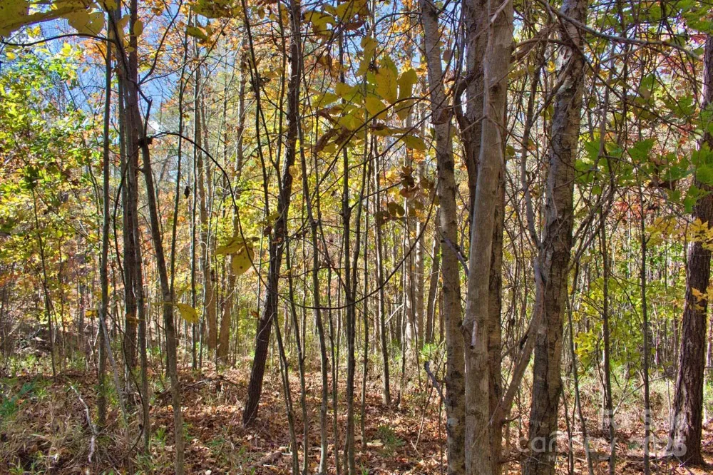 0 Creekside Circle #113 Rutherfordton, NC 28139