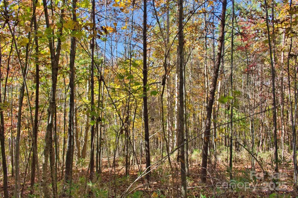 0 Creekside Circle #113 Rutherfordton, NC 28139