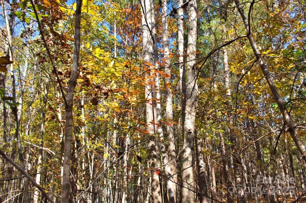 0 Creekside Circle #113 Rutherfordton, NC 28139