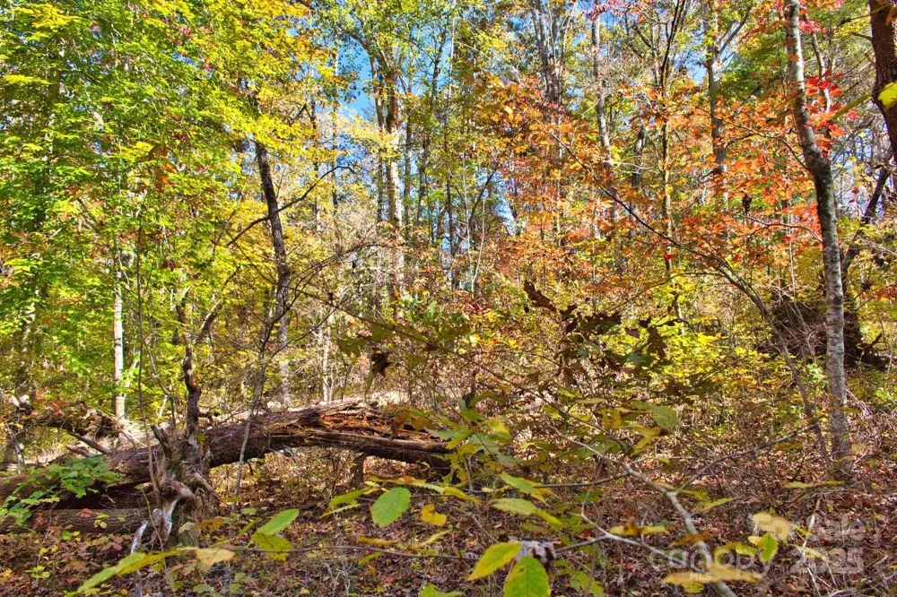 0 Bitteroot Circle #294 Rutherfordton, NC 28139