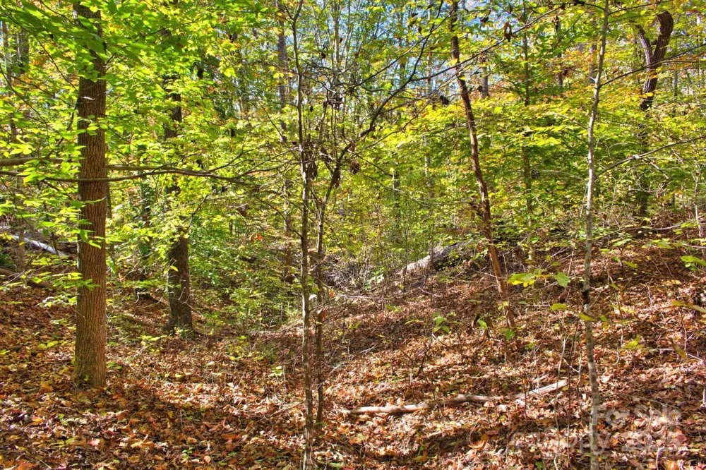 0 Bitteroot Circle #294 Rutherfordton, NC 28139