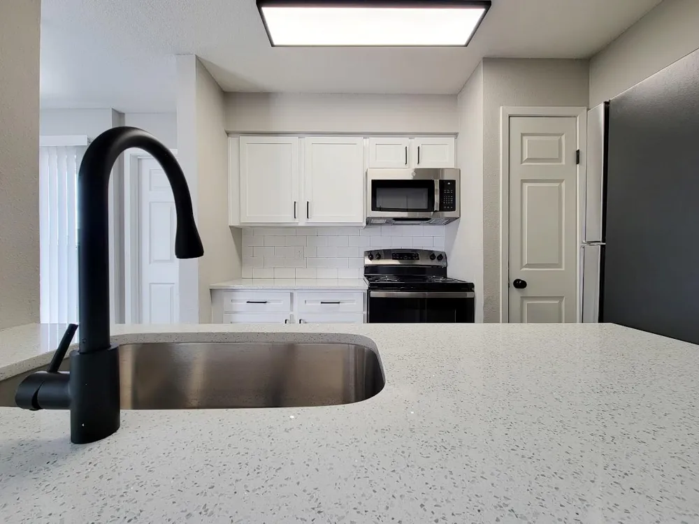 12335 Antoine Drive #1602 Houston, TX 77067
