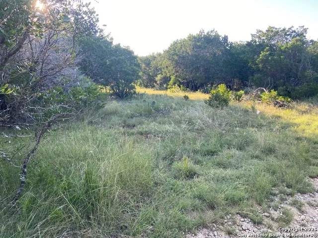 191 Agarita Circle Concan, TX 78838