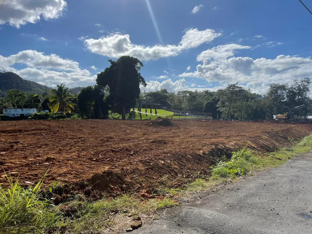 BO. QUEBRADA NEGRITO Trujillo Alto, PR 00977