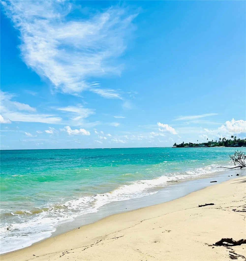 187 SECTOR EL MARTILLO, BARRIO MEDIANIA ALTA #F-304 Loiza, PR 00772