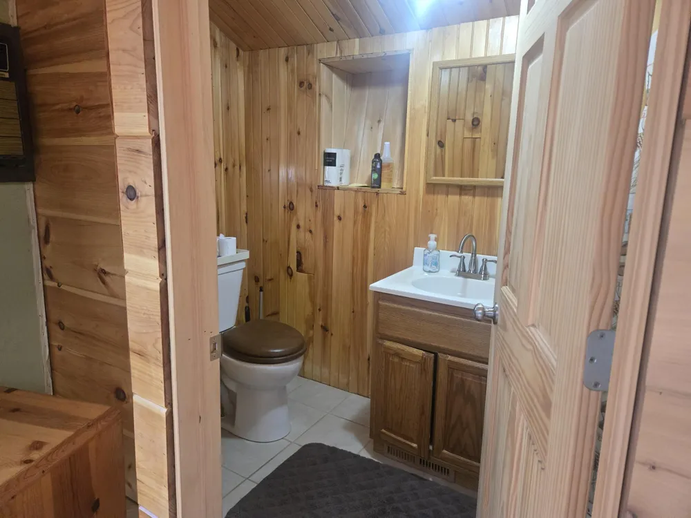 11988 S Shady Grove Drive Baldwin, MI 49304