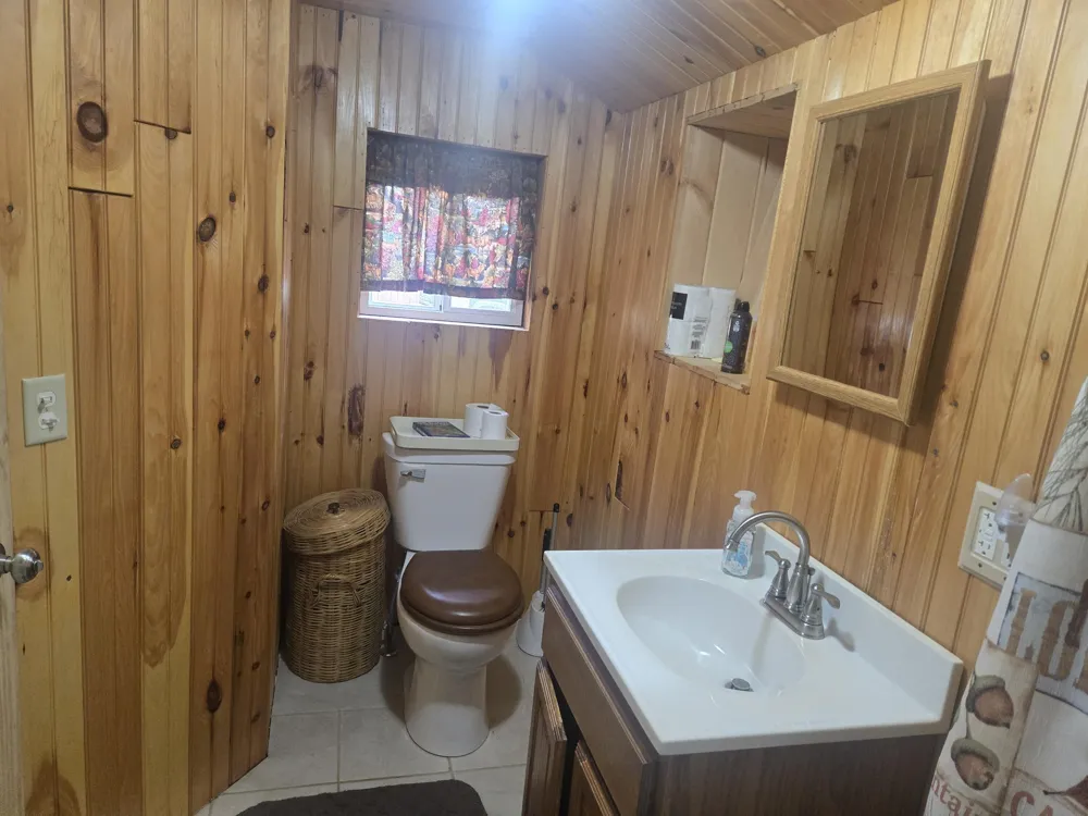11988 S Shady Grove Drive Baldwin, MI 49304