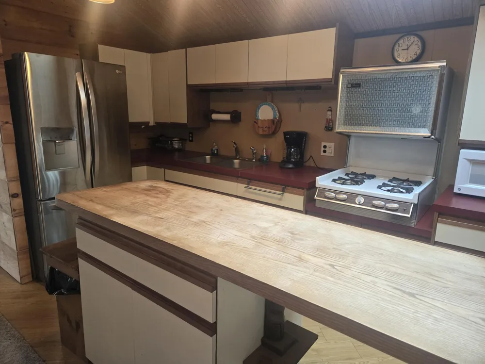 11988 S Shady Grove Drive Baldwin, MI 49304