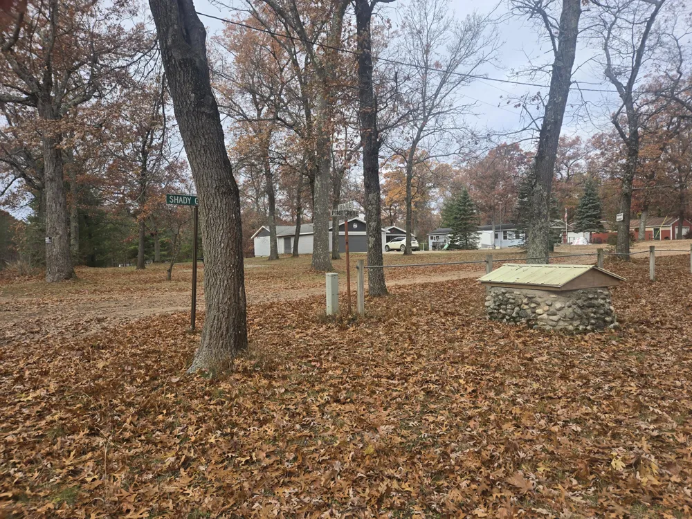 11988 S Shady Grove Drive Baldwin, MI 49304