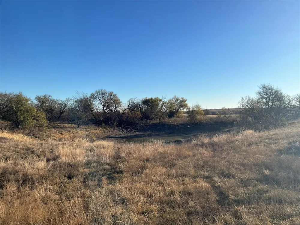 565 FM 1241 Hamilton, TX 76531