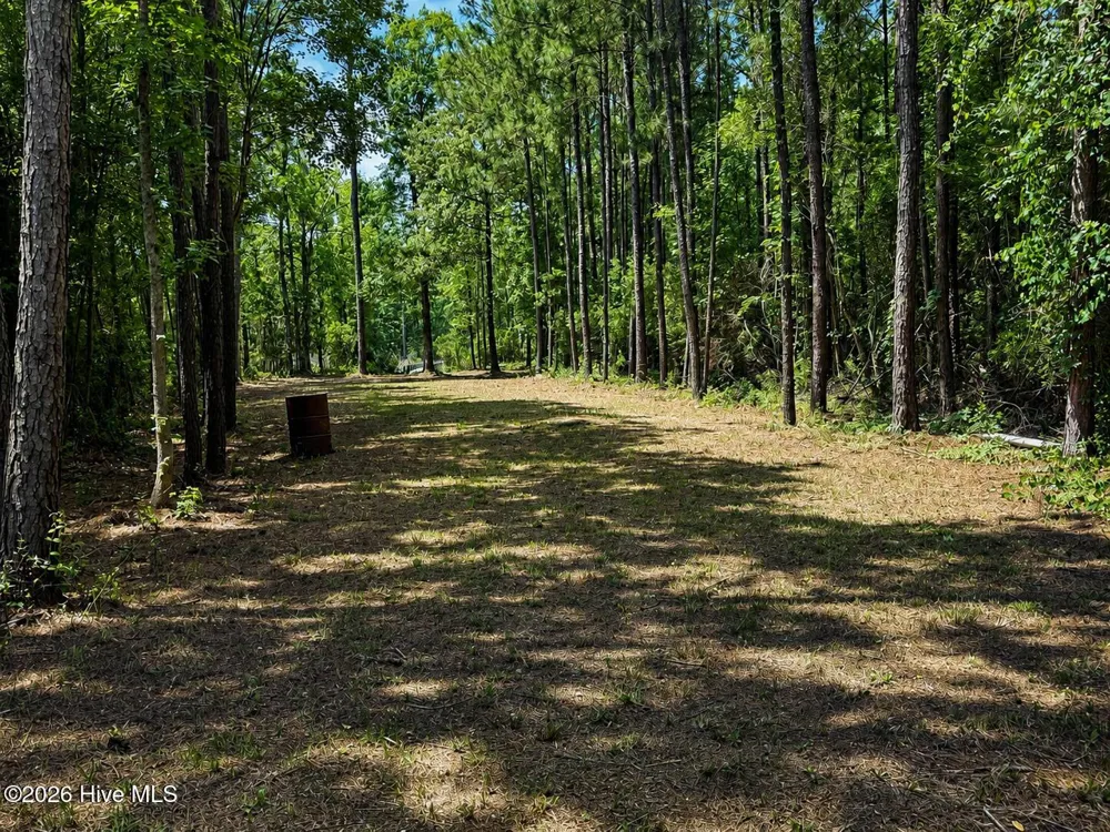 408 Tarpon Pointe Road Bath, NC 27808