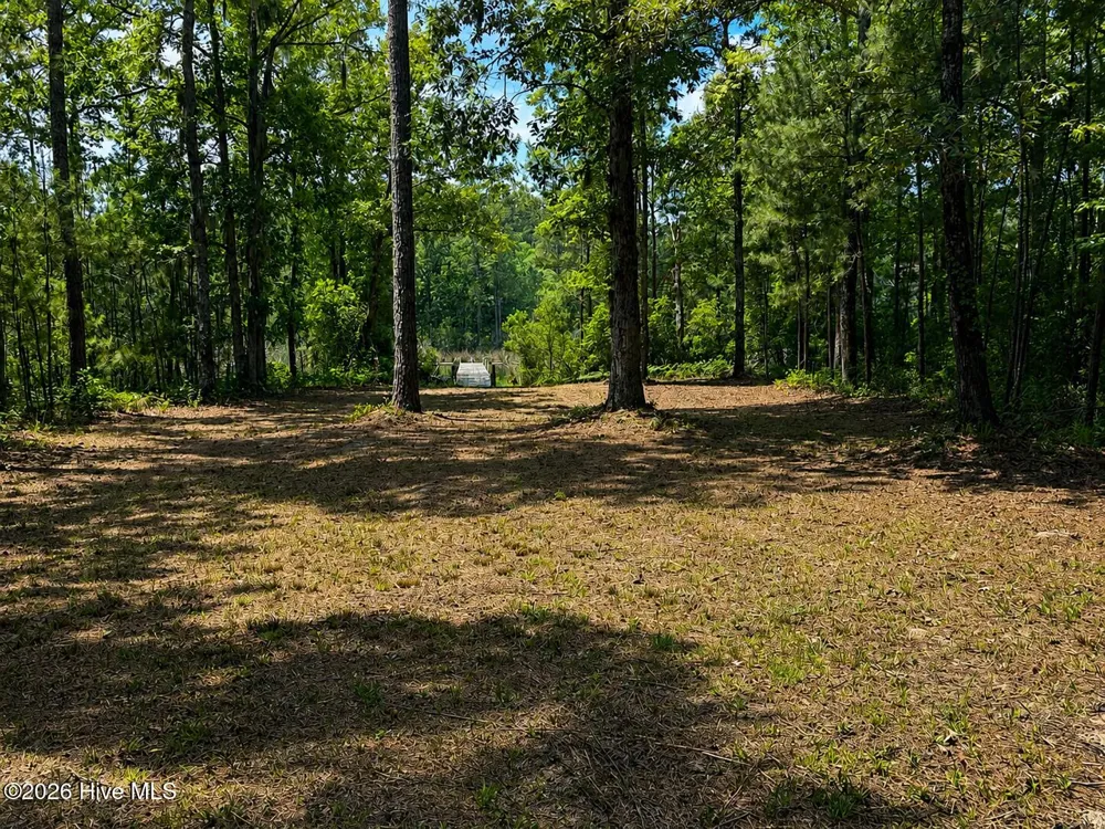 408 Tarpon Pointe Road Bath, NC 27808