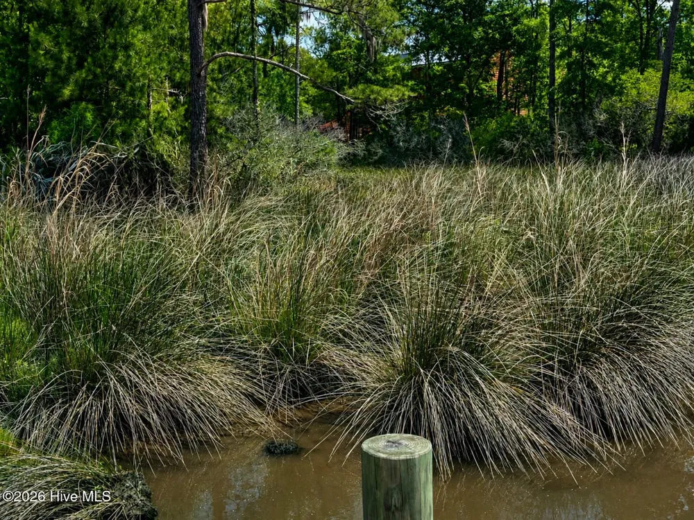 408 Tarpon Pointe Road Bath, NC 27808