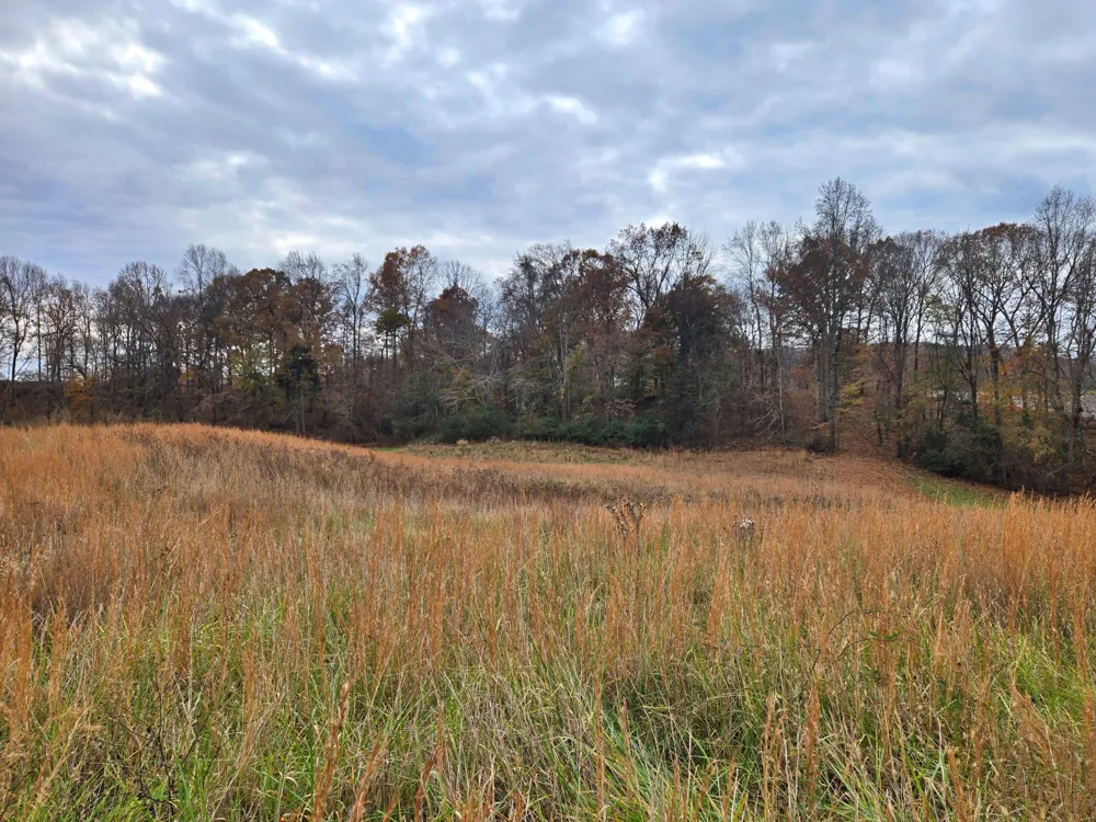 0 Hidden River Rd Rock Island, TN 38581