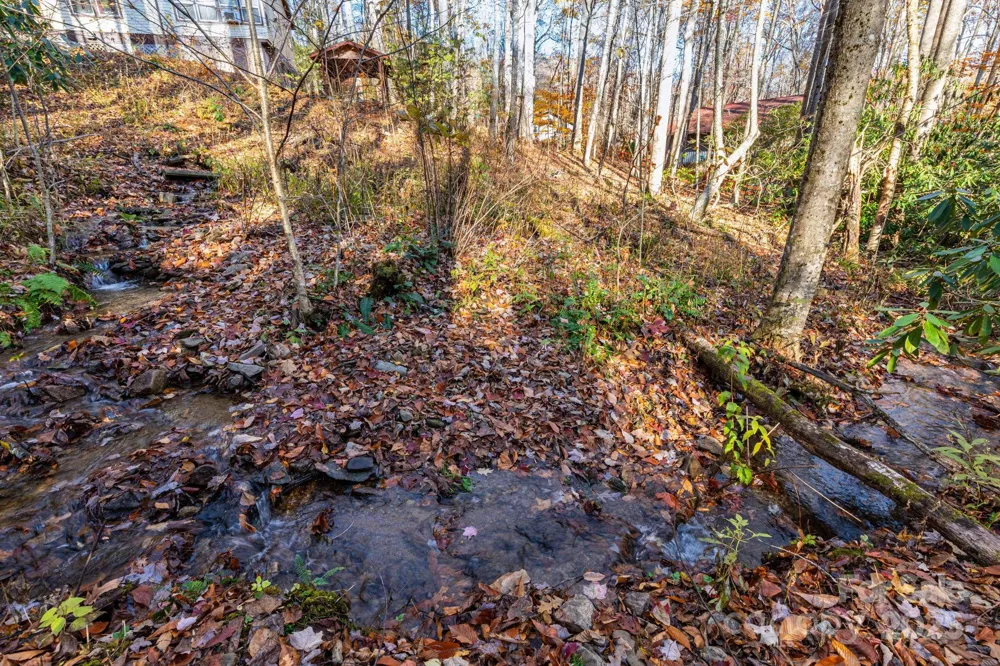 Lot 62 Twinbrook Lane Maggie Valley, NC 28751