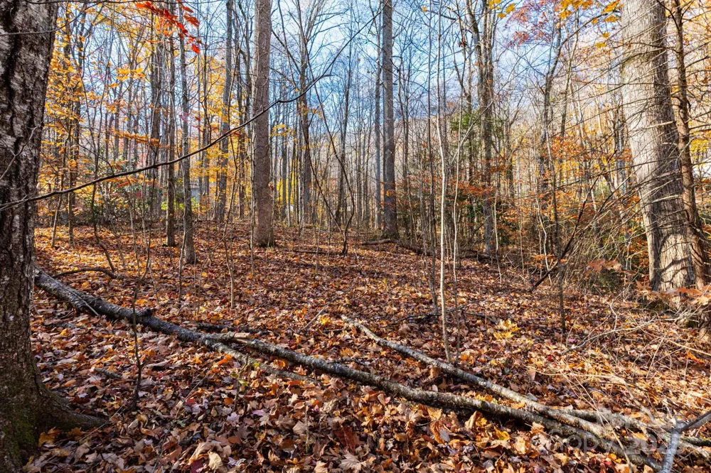 Lot 62 Twinbrook Lane Maggie Valley, NC 28751