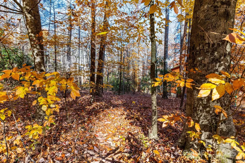 Lot 62 Twinbrook Lane Maggie Valley, NC 28751