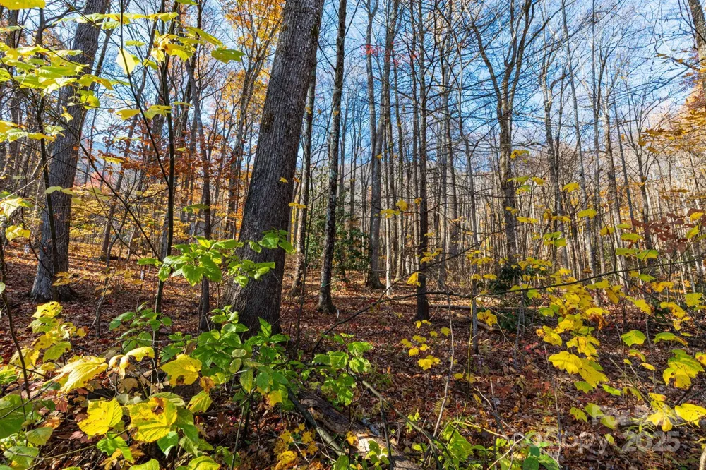Lot 62 Twinbrook Lane Maggie Valley, NC 28751