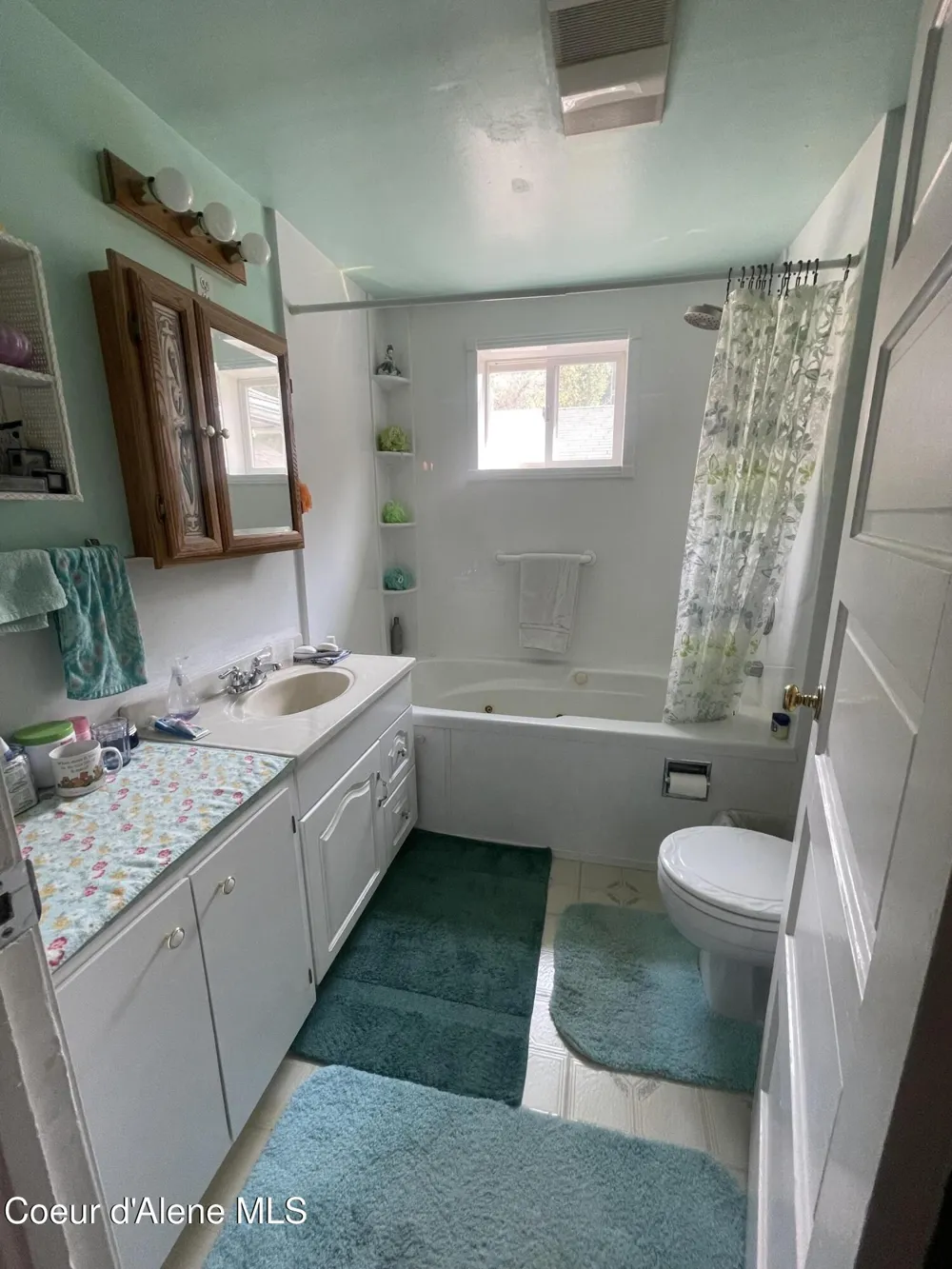 125 Sunset View Street St. Maries, ID 83861