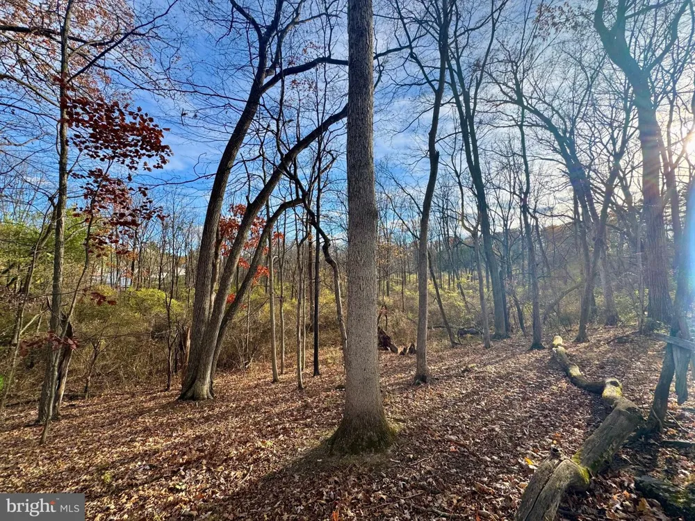 160 LOWER GRANDVIEW ROAD State College, PA 16801