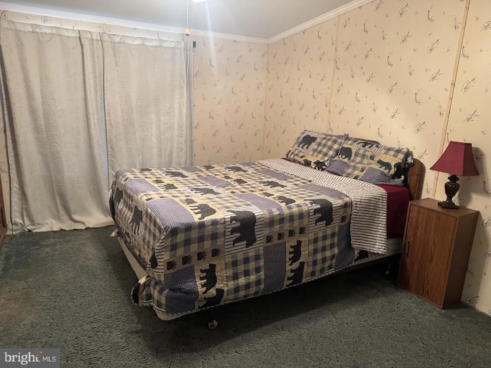 98 BEAR RUN ROAD Oakland, MD 21550