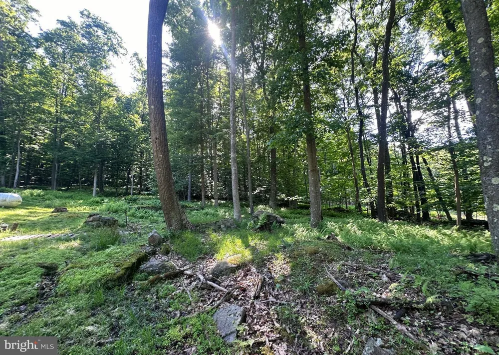 98 BEAR RUN ROAD Oakland, MD 21550