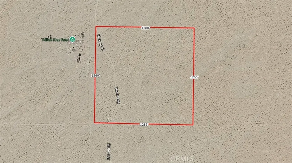 Harvard Yermo, CA 92365