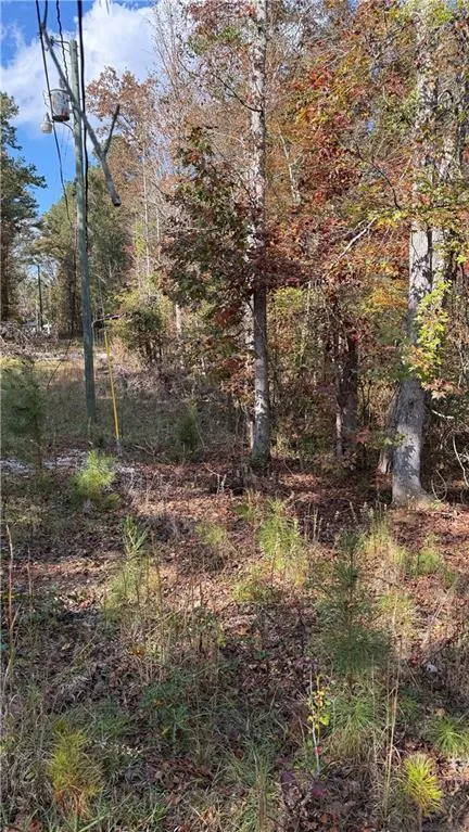 618 S Steel Bridge Road Eatonton, GA 31024